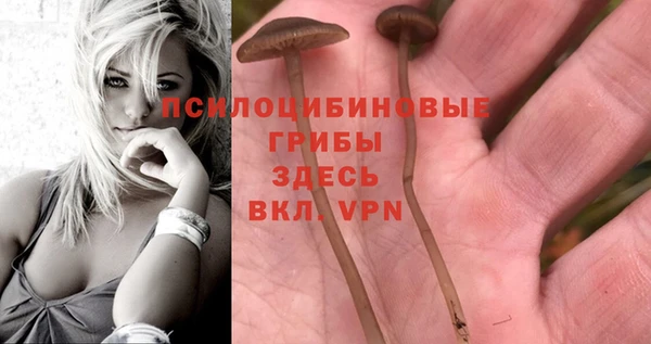 прущие крисы Бронницы