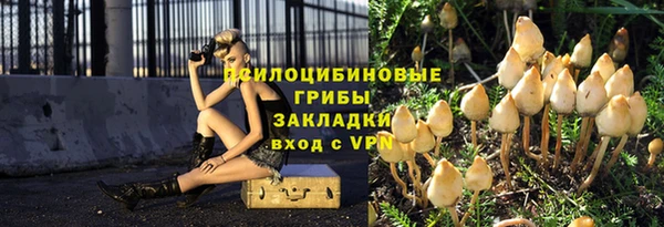 соль курить ск Бородино