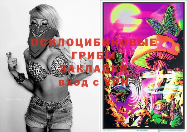 соль курить ск Бородино