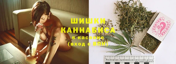 дживик Зеленокумск