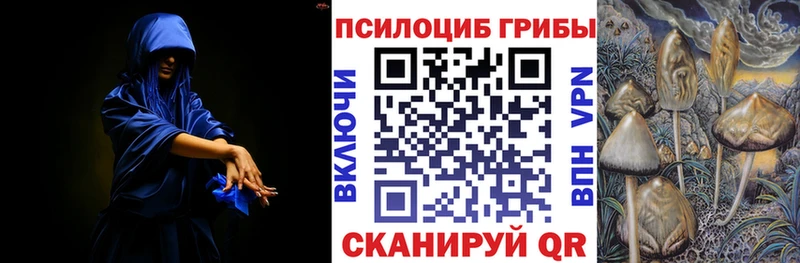 Псилоцибиновые грибы GOLDEN TEACHER  Новопавловск 
